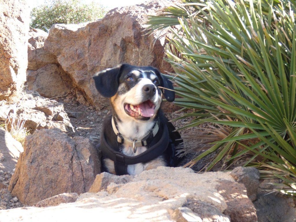 Kiarali, La Isleta del Moro, Spanien