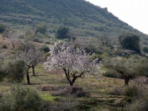 Mehr über den Artikel erfahren 05_Tabernas-Wetterumschwung
