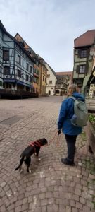 Riquewihr, Elsass, Frankreich
