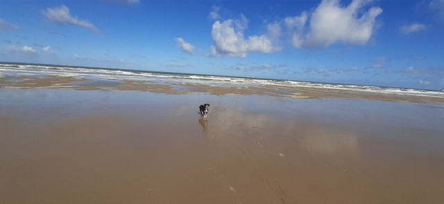 Sangatte bei Calais, Frankreich