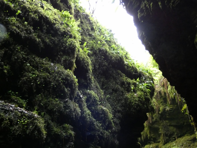 Lydford Gorge Schlucht, Dartmoor, Deven