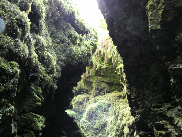 Lydford Gorge-Schlucht, Dartm0or, Deven