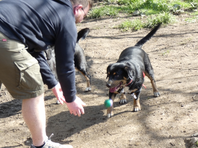 Kyra mit ihrem Besitzer