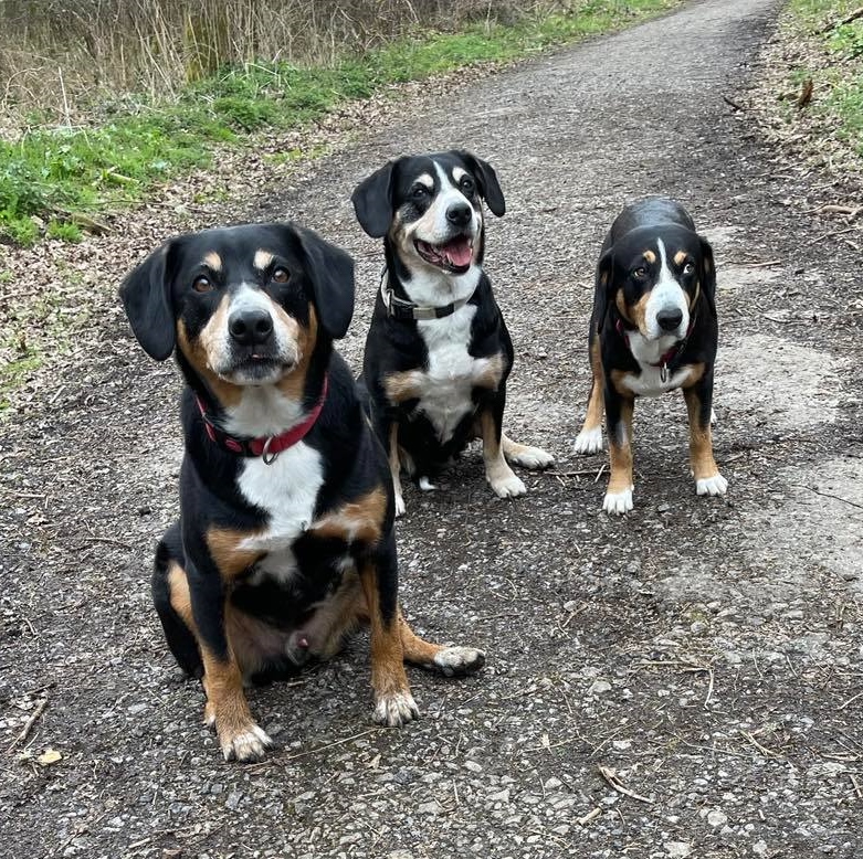Rigi, Kiara und Duschka