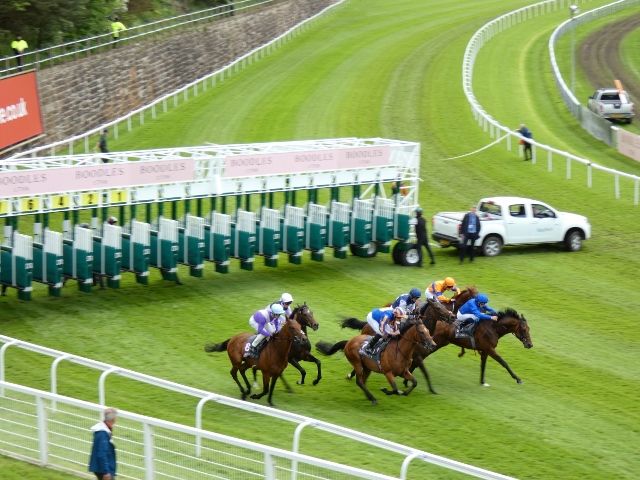 Pferderennen, Chester, England