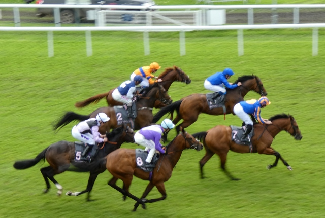 Pferderennen, Chester, England
