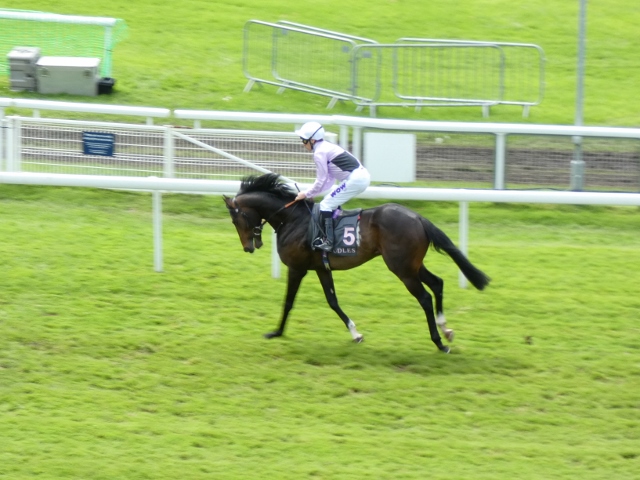 Pferderennen, Chester, England