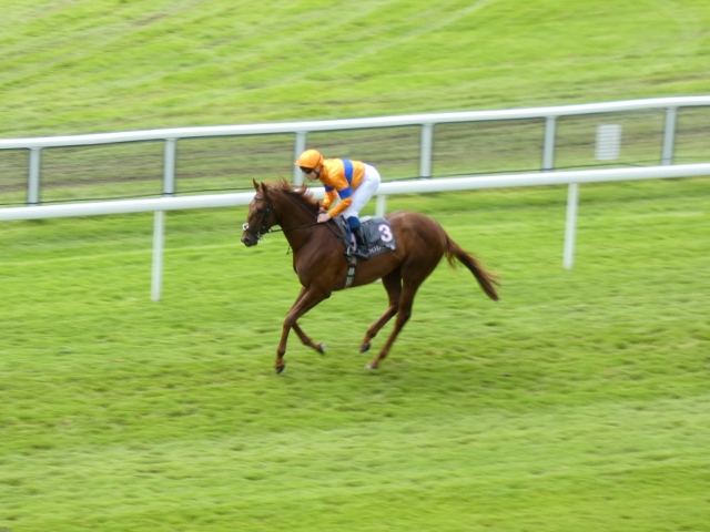 San Antonio das Siegerpferd, Pferderennen, Chester, England