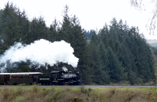 Brecon Mountain Railway, Wales