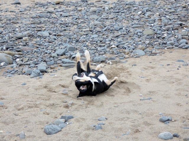 Das Leben ist einfach herrlich