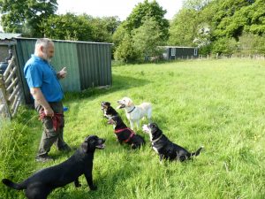 Roger, der Hundeflüsterer