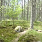 Bruar Wasserfall, Schottland