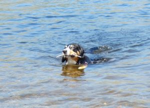Loch Lomond, Schottland