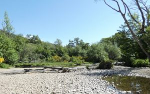 Beach, Loch Ness, Schottland