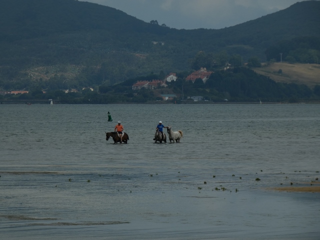Campingplatz Playa del Regaton