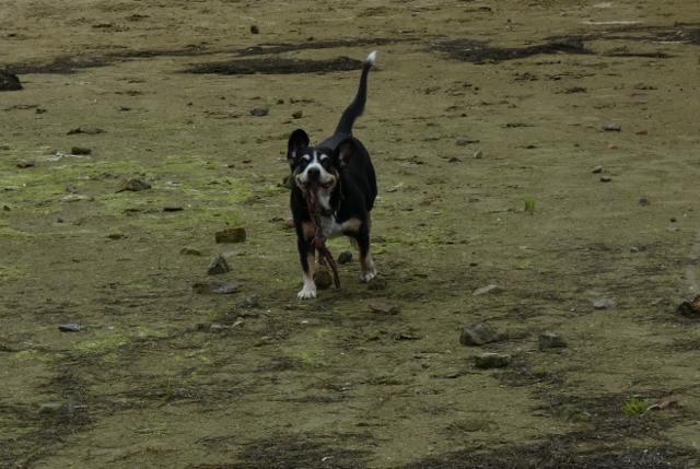 spielen, spielen, spielen