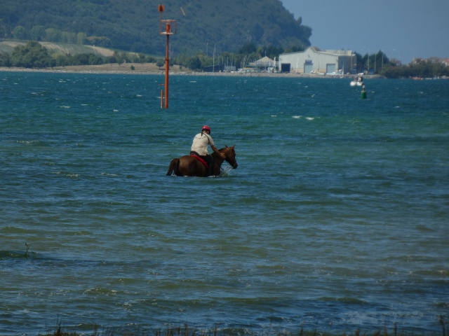 Campingplatz Playa del Regaton