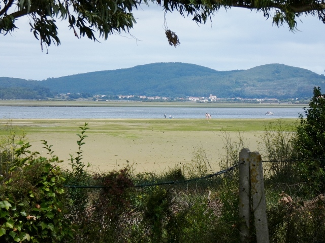 Campingplatz Playa del Regaton