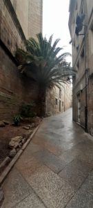 Ourense – die Hauptstadt der Thermalbäder und Brücken