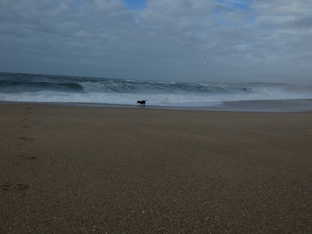 Praia da Agudela, Porto