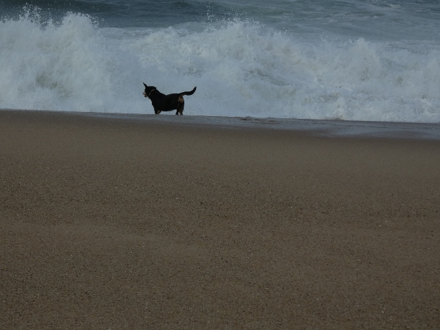Praia da Agudela, Porto