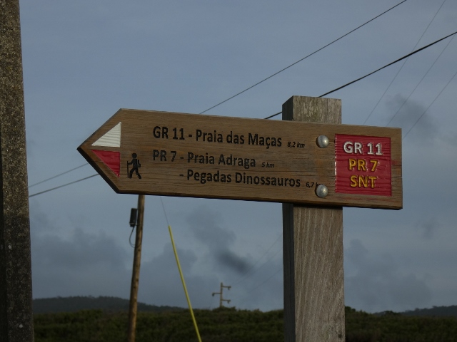 Dinosaurier Fussabdrücke, was man nicht alles findet?