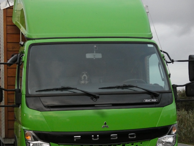 Hier wartet jemand sehnsüchtig