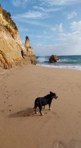 Strandspaziergang in Portimao, Algarve, Portugal
