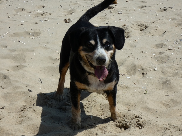 und Lieblingsbeschäftigung