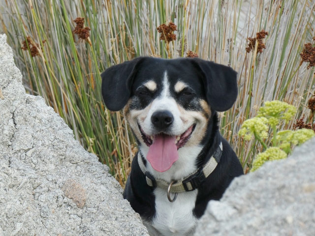 Bin ich nicht schön?