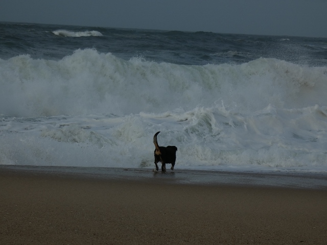 Wellen in Porto, Portugal