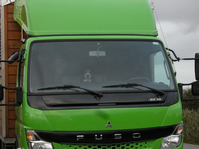 Ich bin der Chef, jawohl