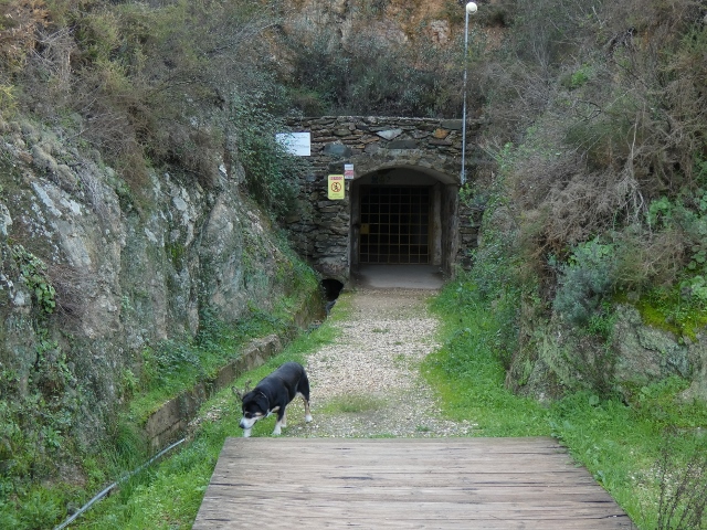 Schnüffeln in Lousal, Portugal