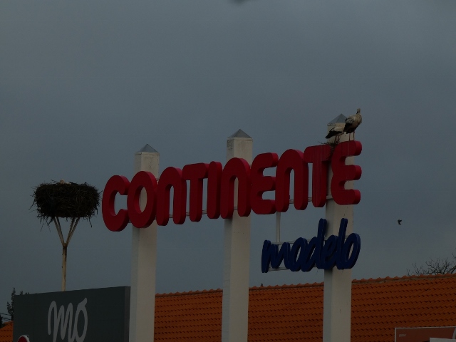 Störche auf dem Einkaufsladen