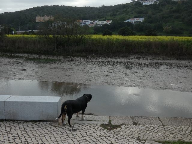 Wo ist den das Wasser hin?