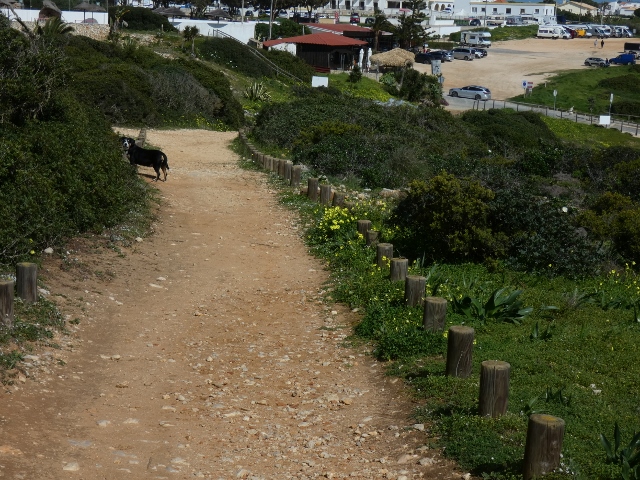 Fussweg vom Fort zum Dorf Sagres
