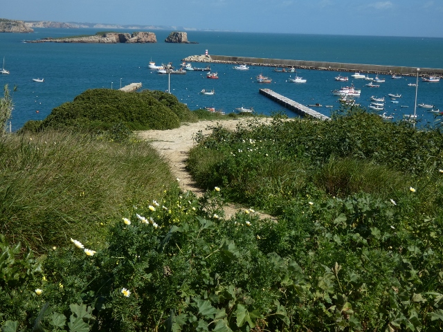 Grüner Fusspfad zum Hafen