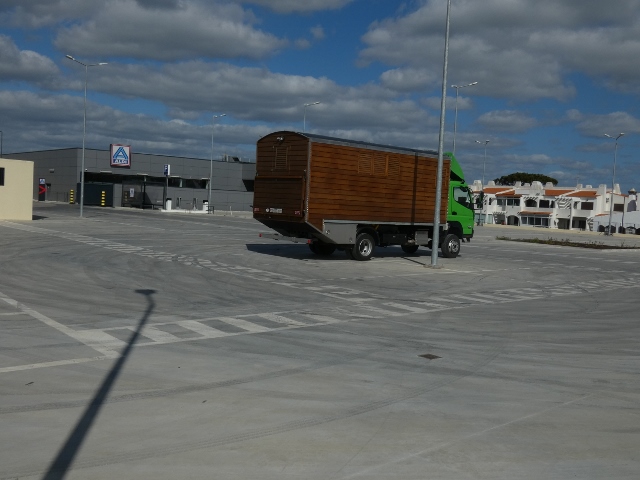 Parkplatz beim Lidl für uns alleine?