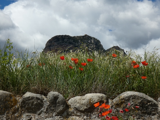 Bergwelt