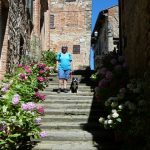 Und Blumen, so schön