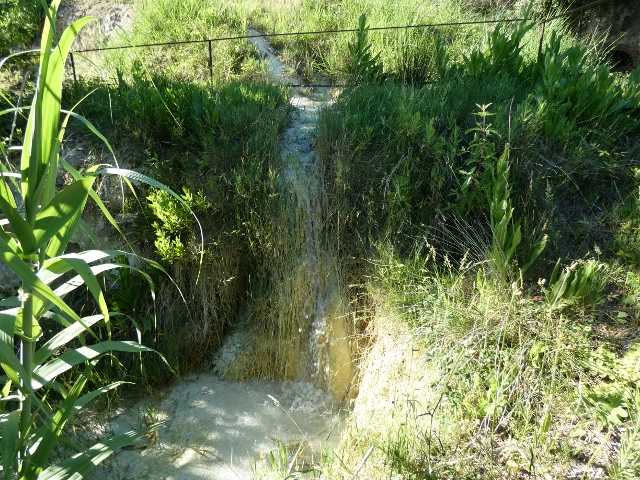 Die milchige Färbung