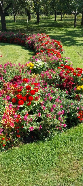 Schlossgarten Dachau