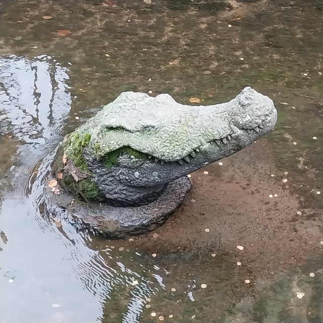 Aus Stein das Krokodil