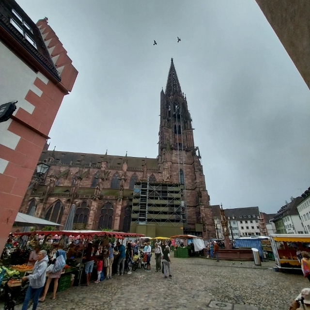 Münster