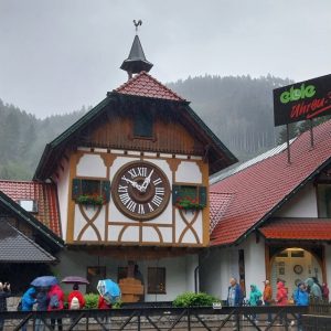 Mehr über den Artikel erfahren 11.02_Deutschland – 2. Etappe – Südwesten, Oberrhein, Schwarzwald, Baden-Württemberg