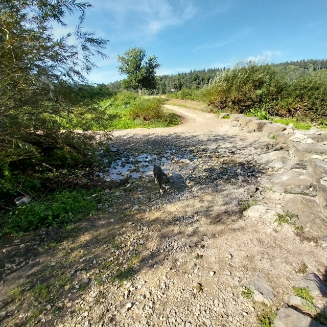 Wo ist denn das Wasser hin???