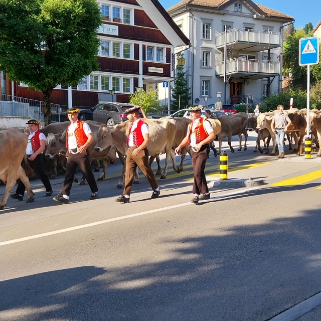 Alpabzug