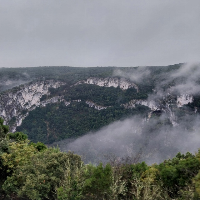 Die Schlucht, nebelverhangen