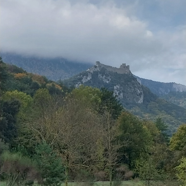 Château Puilaurens inmitten eines Tannenwaldes