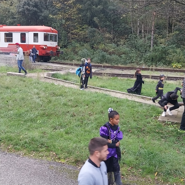 Sonderfahrt Halloween Festival